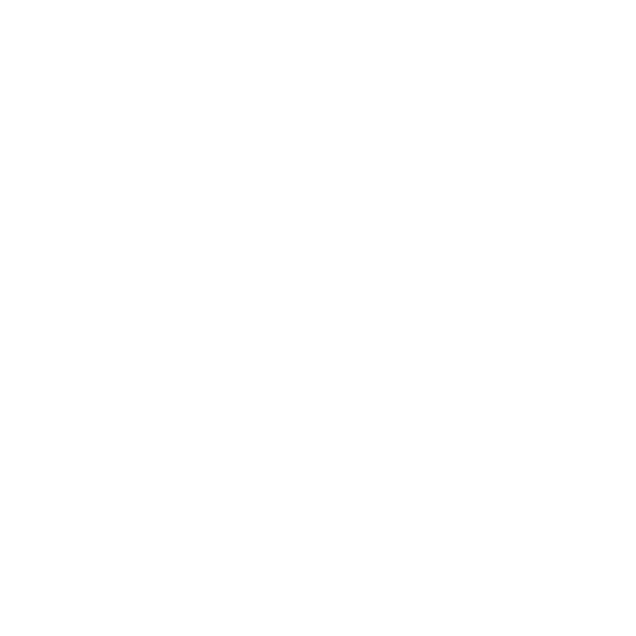 Logo Connect Transfer - Transporte Executivo Privativo no Brasil