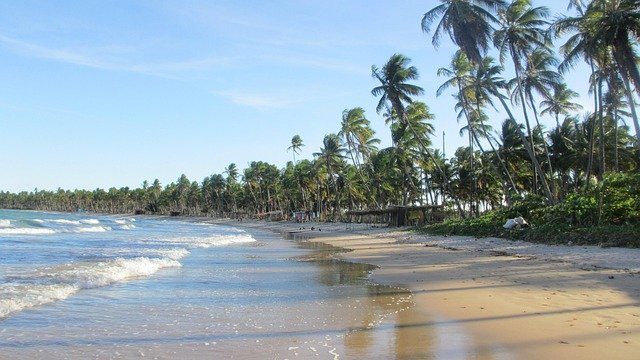 Transfer privado na Bahia - litoral tropical com palmeiras e mar turquesa